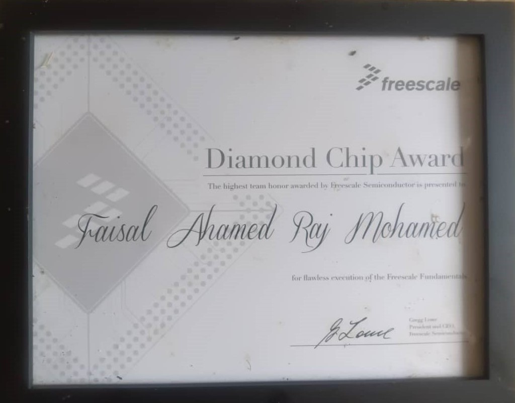 CEO Diamond Chip Award
